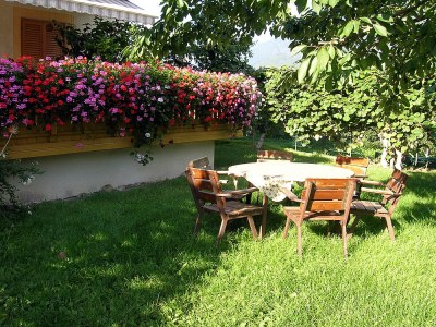 Holiday apartment Lavender - Holiday on the Farm - Outdoor photo 2