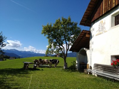 Holiday apartment Abendsonne - Outdoor photo 12