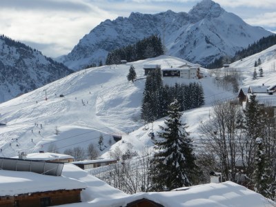 Holiday apartment Panorama in the mountain guesthouse - Environment photo 17