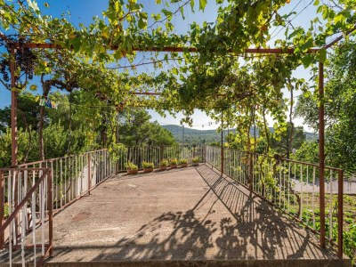 Apartment Charming studio apartment in Bilice - Outdoor photo 34