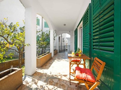 Apartment Spacious apartment in Brodarica with garden - Outdoor photo 29