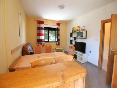Apartment Apartment in Dinjiška by the Beach - Features photo 12