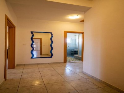 Apartment Wohnung in Pašman nahe Adriastrand - Outdoor photo 40