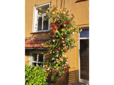 Holiday apartment Familienwohnung Rostock City in Rostock - Holiday apartment