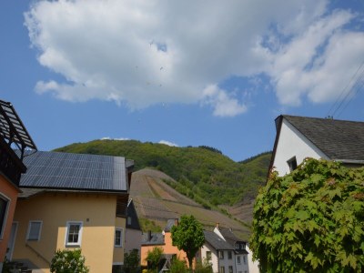 Holiday house Holiday home in the Eifel with balcony - Outdoor photo 8