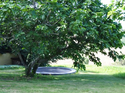 Holiday house Sogno delle Api - Outdoor photo 8