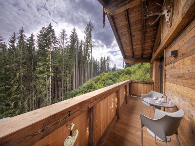 Holiday park Chalet in Neukirchen near Ski Lift in Nationalpark Hohe Tauern - Holiday park