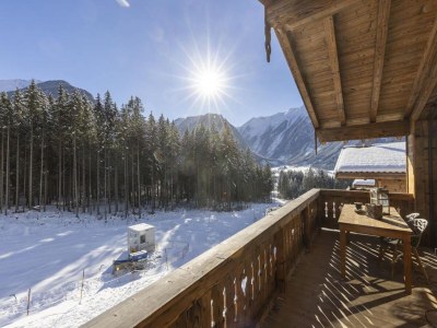 Holiday park Chalet in Neukirchen am Skigebiet - Outdoor photo 23