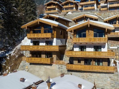 Holiday park Chalet in Neukirchen, 100 m Skilift - Outdoor photo 45