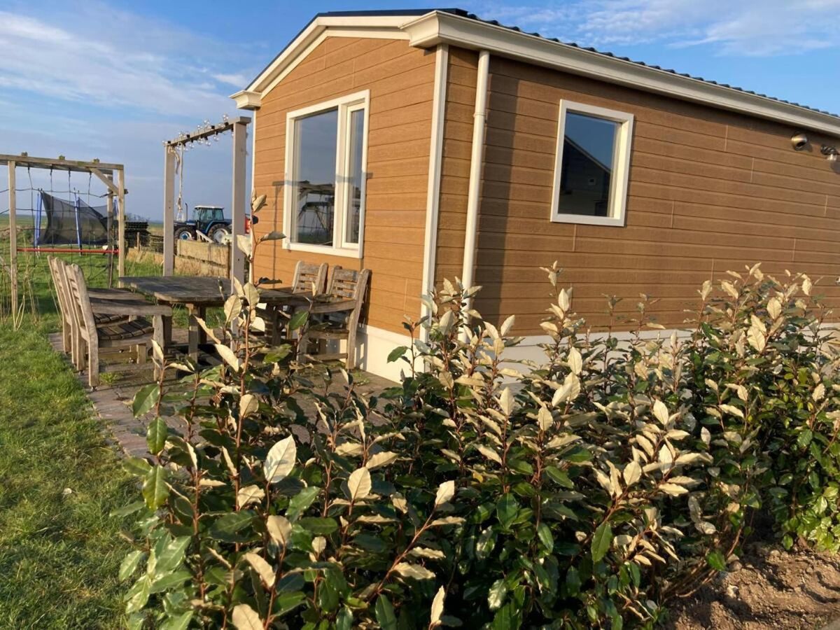 Holiday house Cottages in Friesland with Farm Experience - Outdoor photo 5