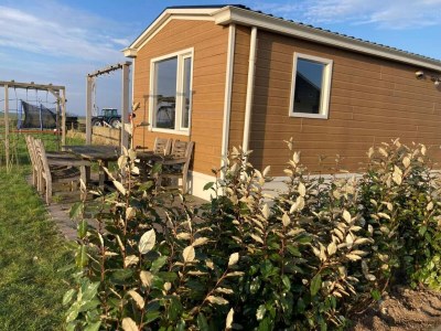 Holiday house Cottages in Friesland with Farm Experience - Outdoor photo 5