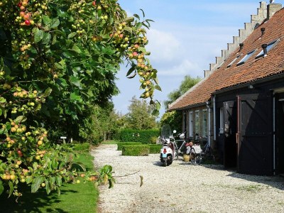 Holiday house VZ890 Vakantiehuis in Renesse - Outdoor photo 32