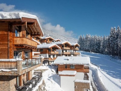 Holiday park Elegantes Chalet in der Nähe der Wildkogel Arena - Outdoor photo 48