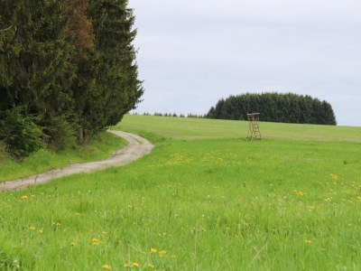 Apartment Apartment in Braunlage - Outdoor photo 12