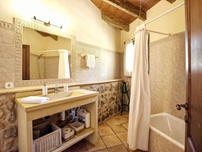 Holiday house Finca in Santa María mit Salzwasserpool - Features photo 21