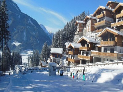 Holiday park Chalet in Neukirchen near Wildkogel Ski Arena - Environment photo 14
