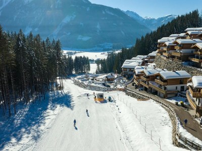 Holiday park Chalet in Neukirchen near Wildkogel Ski Arena - Environment photo 15