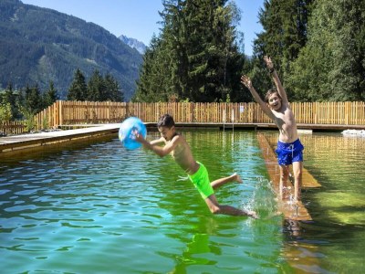 Holiday park Chalet in Neukirchen near Wildkogel Ski Arena - Outdoor photo 59