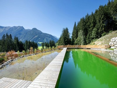Holiday park Chalet in Neukirchen near Wildkogel Ski Arena - Outdoor photo 74