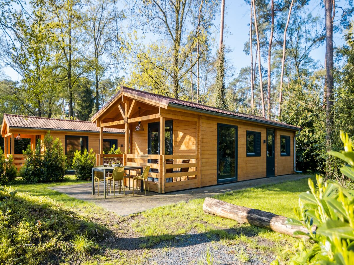 Holiday park Holiday Home in Markelo near Forest & Pool - Outdoor photo 3