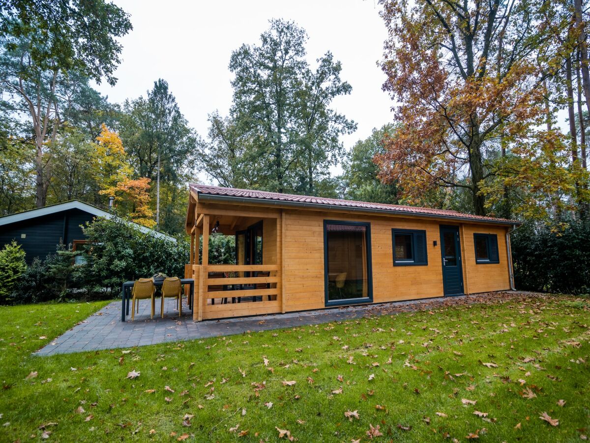 Holiday park Holiday Home in Markelo near Forest & Pool - Outdoor photo 4