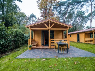 Holiday park Holiday Home in Markelo near Forest & Pool - Holiday park