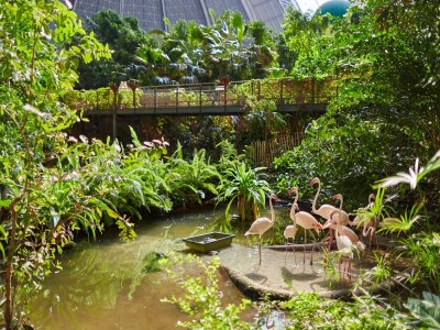 caravan Mobile Home im Tropical Islands Resort - Outdoor photo 17