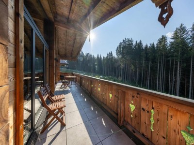 Holiday park Chalet in den österreichischen Alpen mit Skizugang - Outdoor photo 21