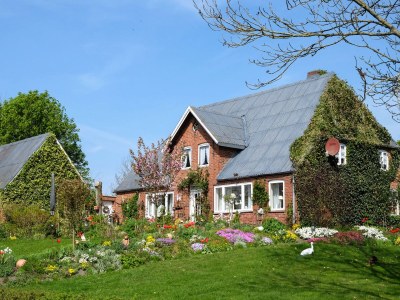 Holiday house "Ferienwarft 'Elisabeth'" in Ockholm - Holiday house