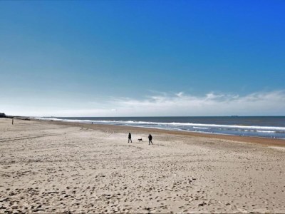 Holiday park Holiday Home near Dutch Coast & Forest - Environment photo 25