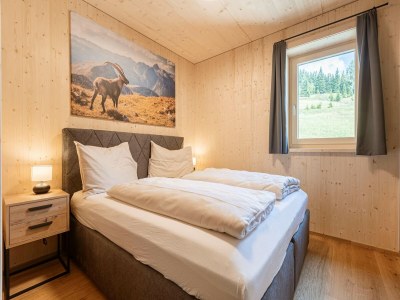 Apartment Apartment in Oberwölz by Ski Slopes - Features photo 5