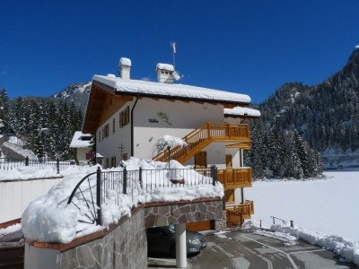 Apartment Villa Edelweiss Campanula in Alleghe - Apartment