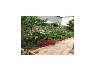 Apartment Apartments Villa Sarajevo - Two Bedroom Apartment with Terrace and Balcony - Outdoor photo 4