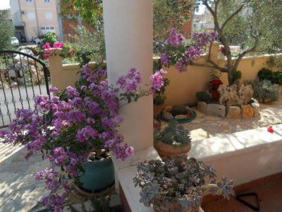 Apartment Apartments Dea & Paula - Classic Two Bedroom Apartment with Terrace - Outdoor photo 9