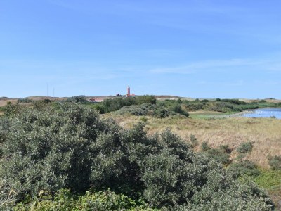 Villa Villa auf Texel nahe Strand und Naturpark - Environment photo 24