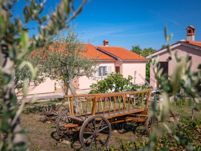 Villa Breg Ivanovci - Three Bedroom Villa with Swimming Pool - Outdoor photo 3