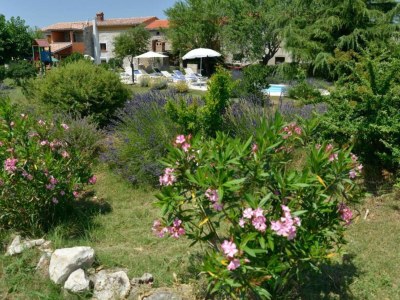 Holiday house Three Bedroom Holiday Home with Private Pool - Outdoor photo 11