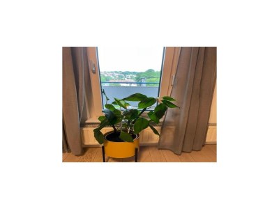Apartment Modern & Charming - Free Private Parking - One Bedroom Apartment - Outdoor photo 24