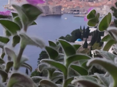 Apartment Charming Apartment with Terrace and Old Town View - One Bedroom Apartment with Terrace - Outdoor photo 7