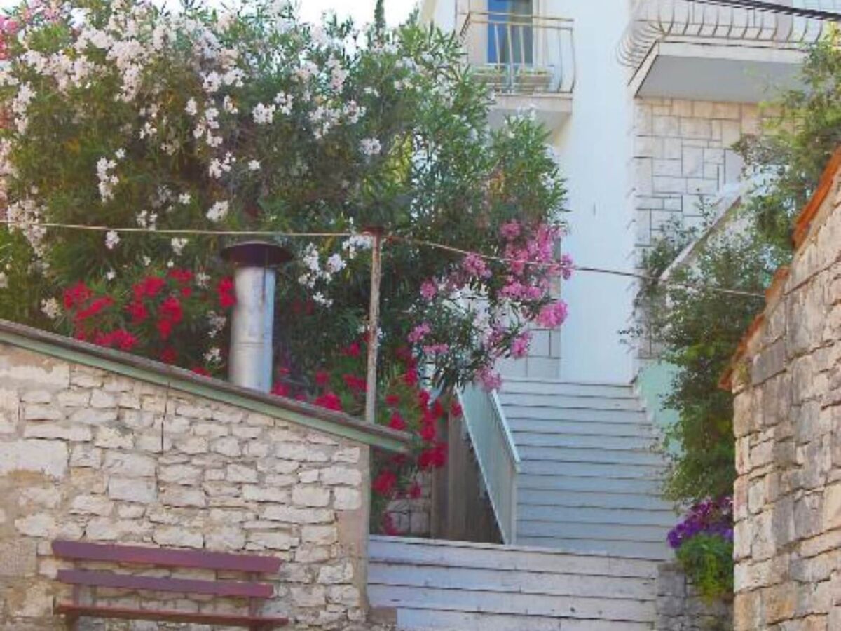 Apartment Apartment Jurišić Korčula - One Bedroom Apartment with Terrace - Outdoor photo 5