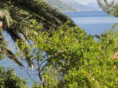 Apartment Seafront Apartments Pretner - Studio Apartment with Balcony and Sea View in Orebic - Apartment