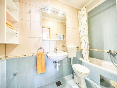 Apartment Apartments Gracin - One Bedroom Apartment with Terrace (A1) - Features photo 15