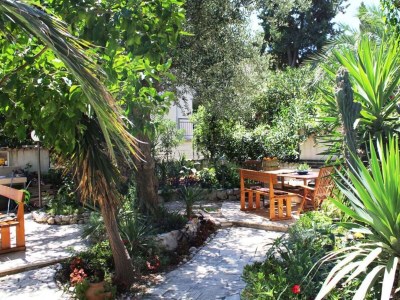 Apartment Apartments Antonio - One Bedroom Apartment with Terrace (Apartment C) in Orebic - Apartment