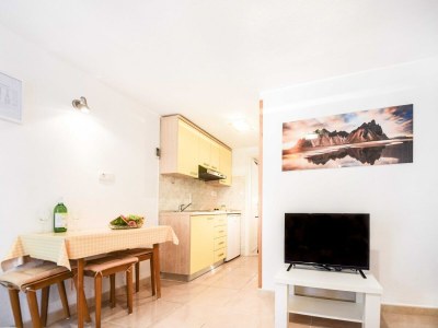 Apartment Apartments Gracin - Premium One Bedroom Apartment with Terrace (A3) - Features photo 10