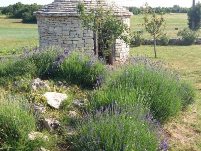 Apartment Authentic Istrian Rooms for Unforgettable Stays - Double Room with Balcony - Outdoor photo 9
