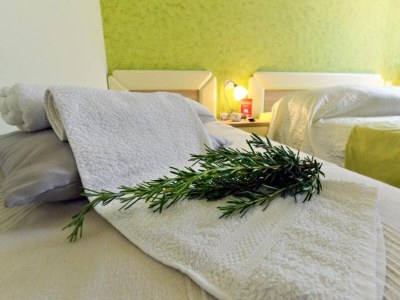Apartment Authentic Istrian Rooms for Unforgettable Stays - Triple Room - Features photo 13