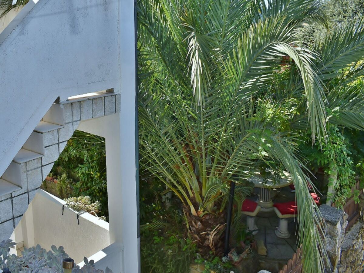 Apartment Apartments Jug - Studio Apartment with Private Garden - Outdoor photo 5