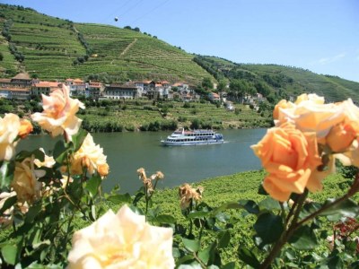 Apartment Feel Porto Bacchus Townhouse - Environment photo 28