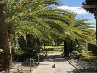 Apartment Ferienhaus nahe Playa de la Carihuela - Environment photo 33