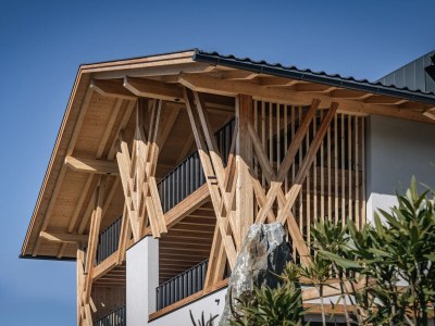 Apartment Weinberg Chalet Steindlgut in Brixen - Apartment